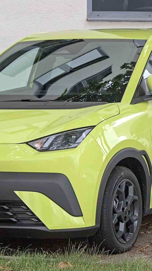 BYD Dolphin Surf