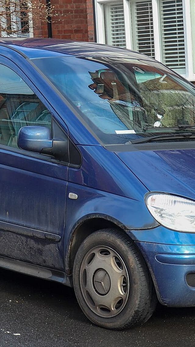 Mercedes-Benz Vaneo