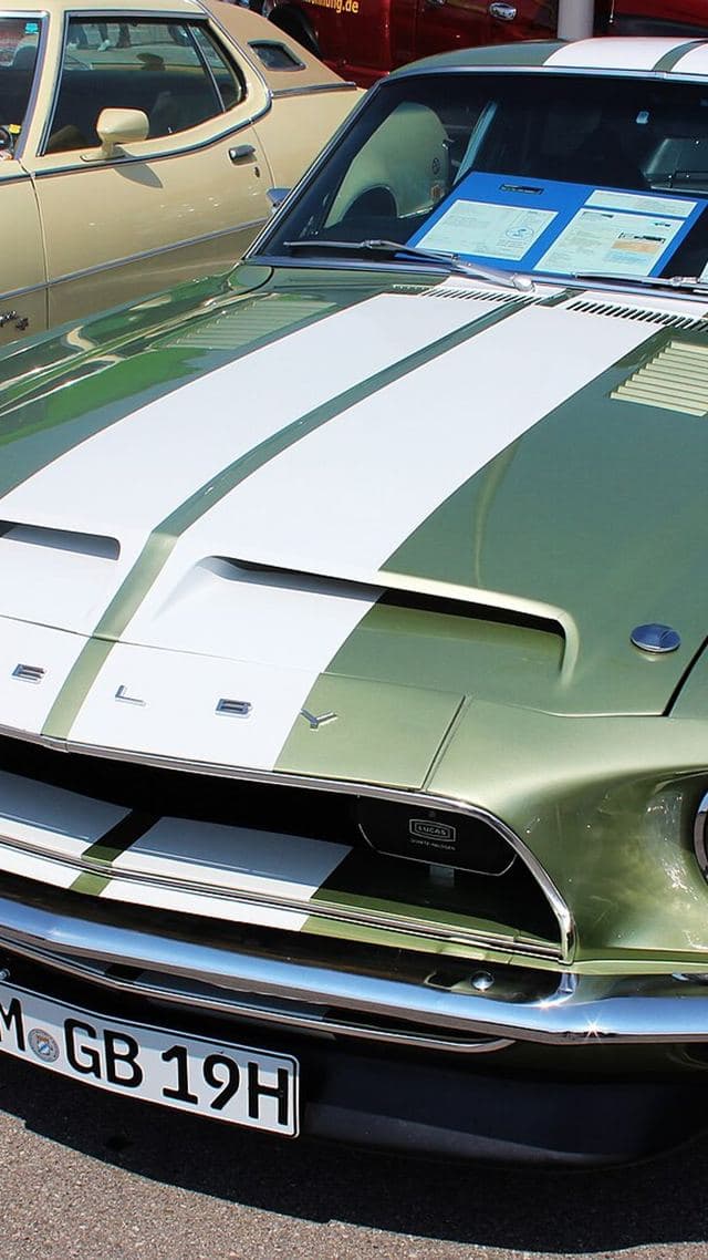 Shelby GT 500
