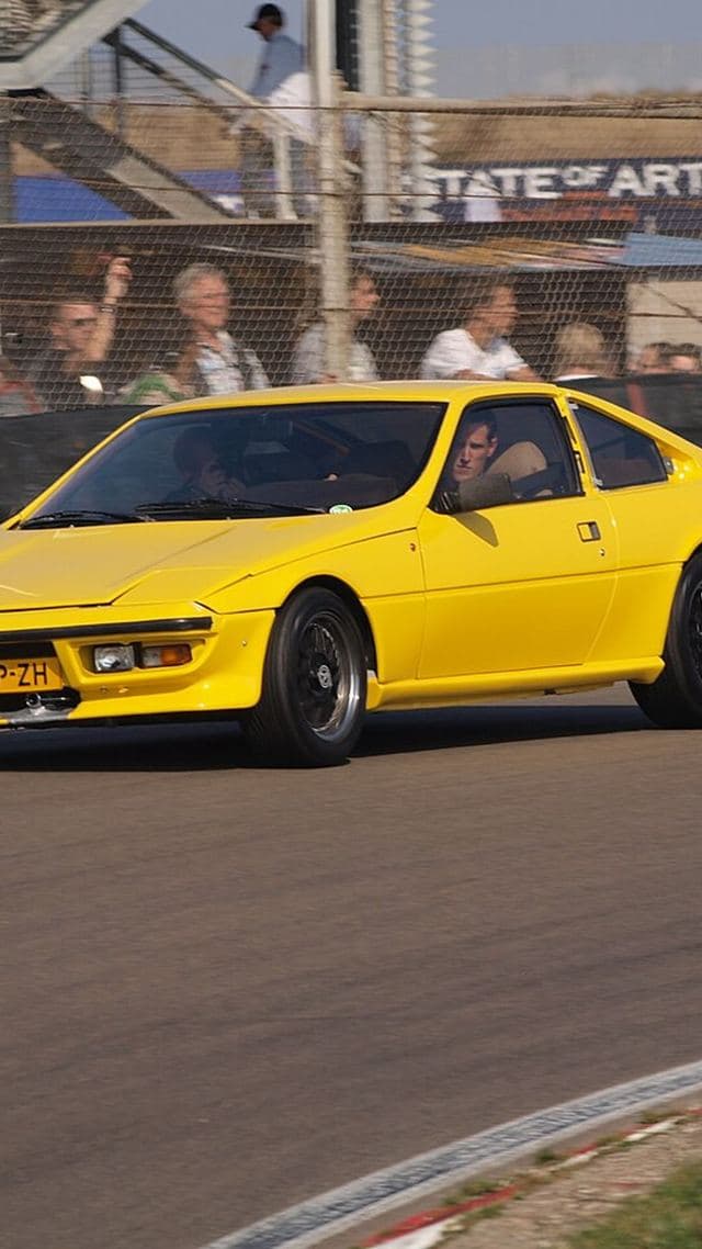 Talbot Murena