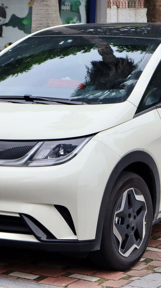 BYD Dolphin